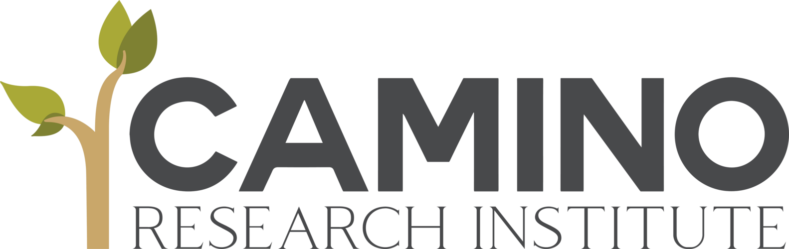 Camino Research Institute